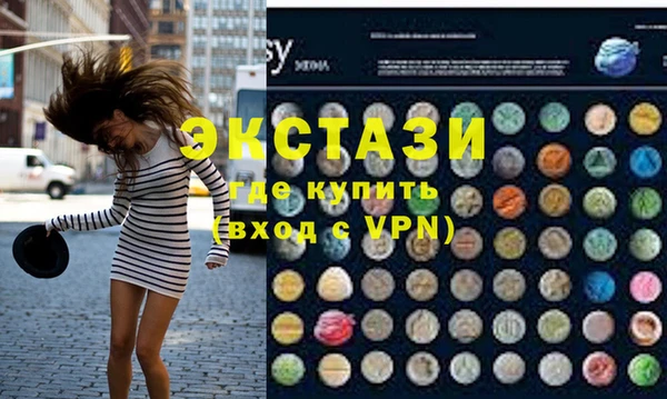 гашик Алексин