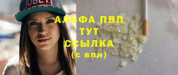 гашик Алексин