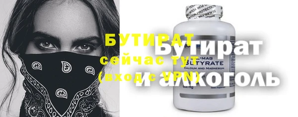 гашик Алексин
