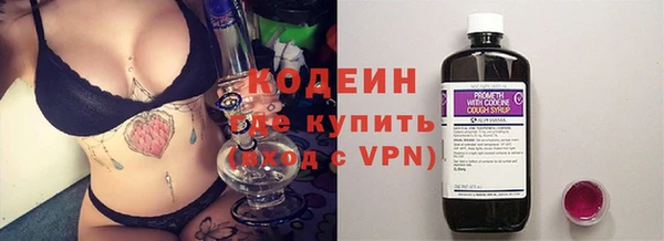 гашик Алексин
