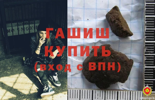 гашик Алексин