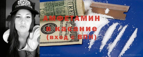 гашик Алексин
