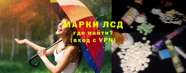 гашик Алексин