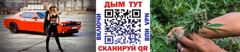 Конопля сатива Маркс
